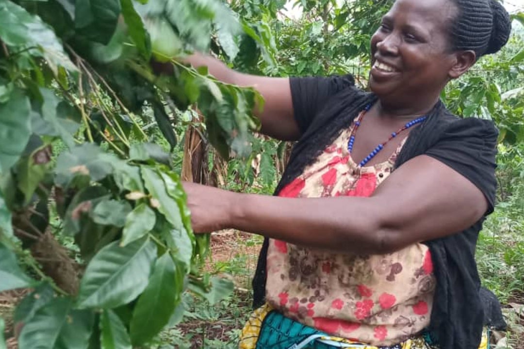 Coffee farmer lady