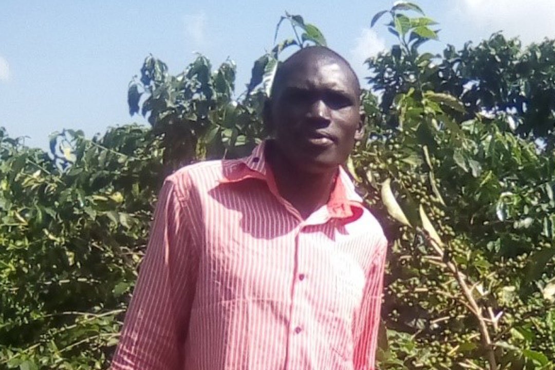 coffee farmer man at plantation