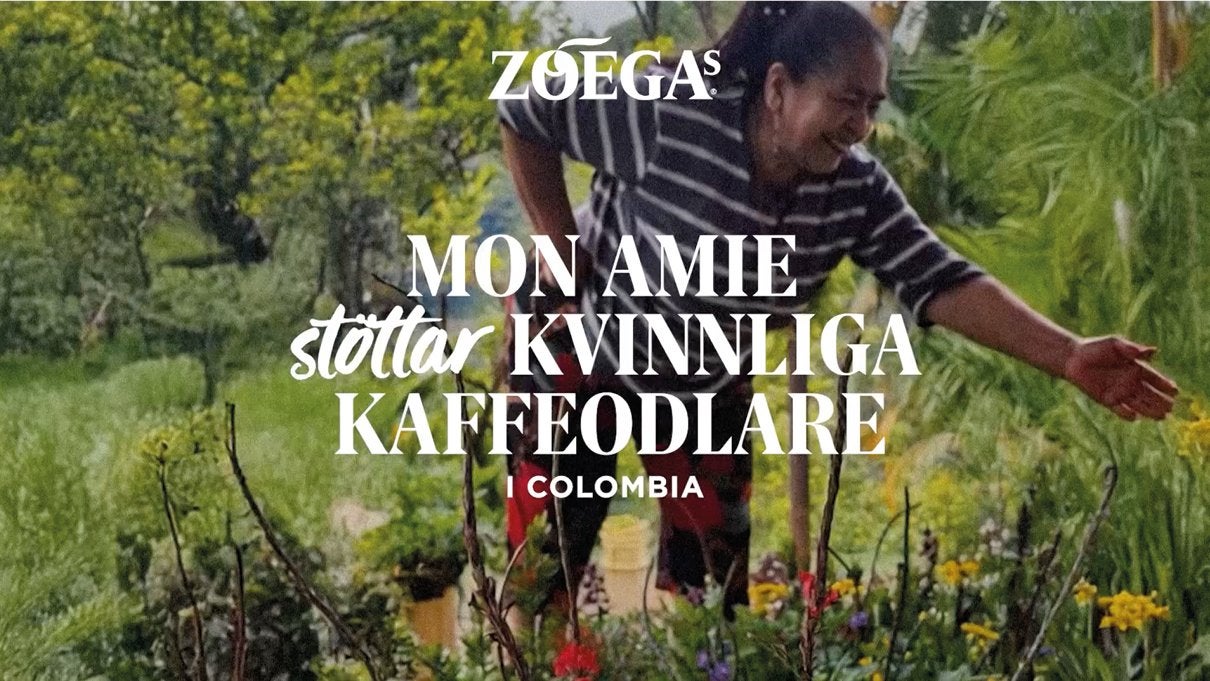 Blommor i Colombia CBW 