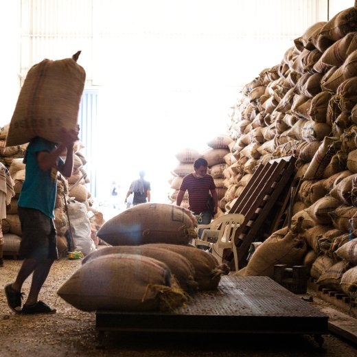 person caarying coffee bean bag on shoulder