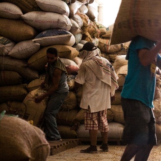 Coffee beans being stored