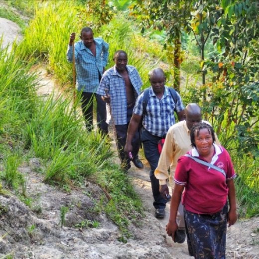 people walking in the fields