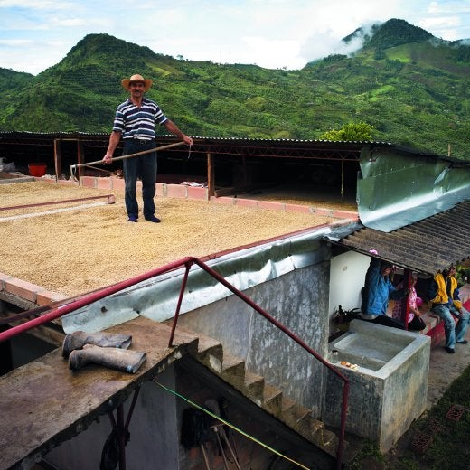 man at coffee farm