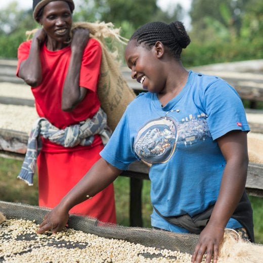två kvinnor sorterar kaffebönor 