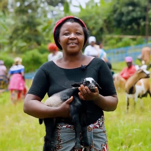 kvinnlig kaffeodlar håller en get, Rwanda