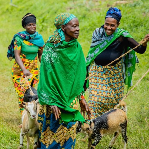 Kvinnliga kaffeodlare, Rwanda