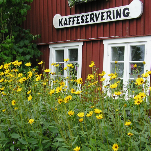 blomsterhav vid skylt med kaffeservering Albertsgården